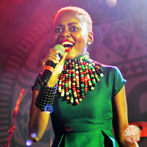 2017 - Tribute Birdie Mboweni (South Africa) © Daniel Correia